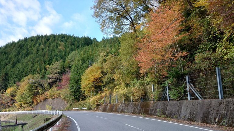 このあたりは場所によっては緑→赤のグラデーションが綺麗だった。