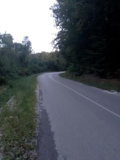 Evening Walk