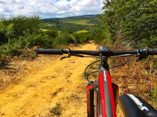 Tá tranquilo, tá Favorável !!!