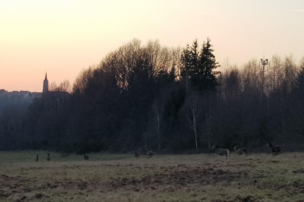 Ils m’ont mis un beau vent ????