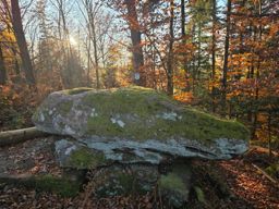Dans les coins de Wuestenberg