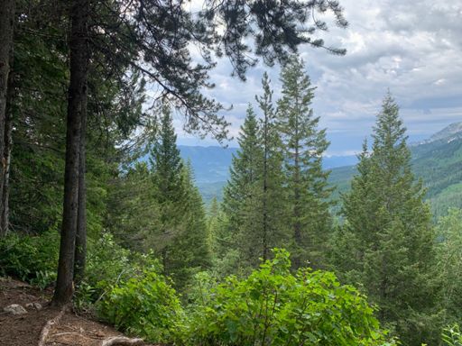 Lookout spot somewhere near the top or rather highest point of Lazy Lizard. First time riding here so I don't really know.