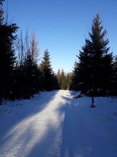 Poloha této fotky na mapě je samozřejmě jinde. Jo aha, nahrával jsem to z PC, takže se poloha zahodí...