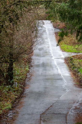 Hard to capture 25% grade in a photo!