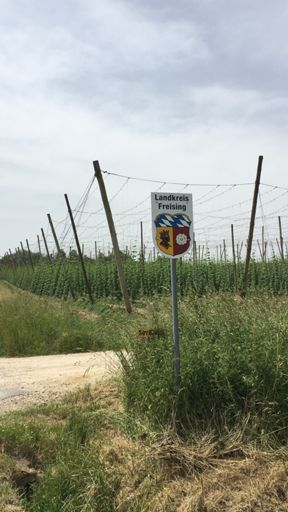 Kurzer Abstecher nach LK Freising