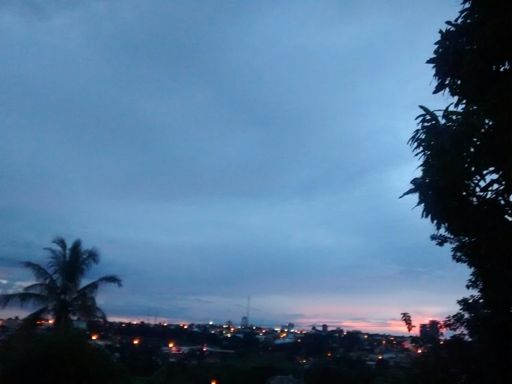 Jataí - Vista do Meu Quintal !!