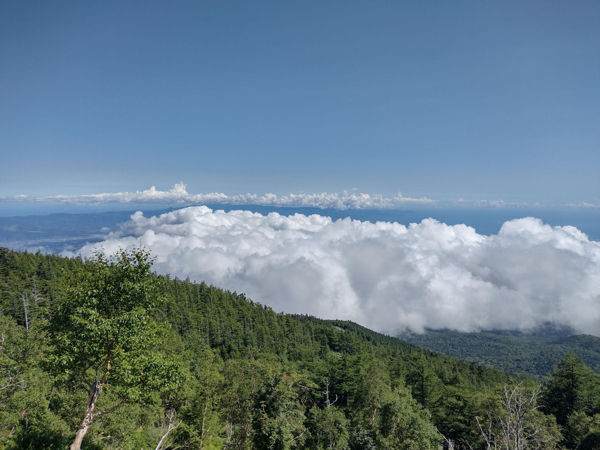 Mount Fuji Fujinomiya Route | 5.6 mi Hiking Trail on Strava