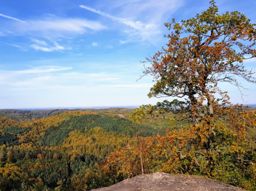 La Hoube Wuestenberg