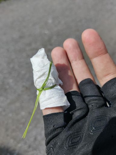 Vet ikke helt hva som skjedde, men det var ikke padden sin skyld... 🤕