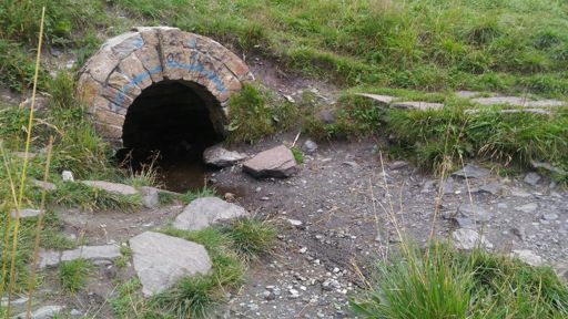 Родник Марьины слезы 