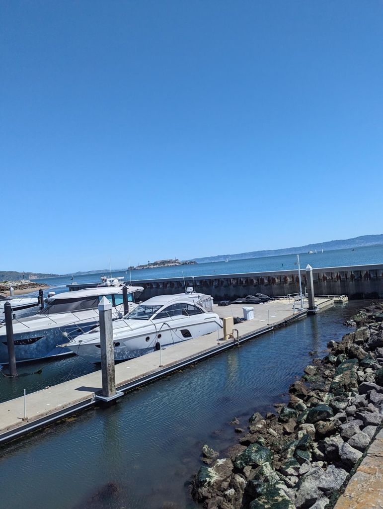 Butterlap (Presidio & Golden Gate Park) photo 28