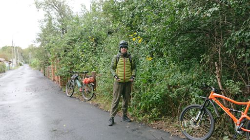 Жрем сладкие спелые сливы в Северном