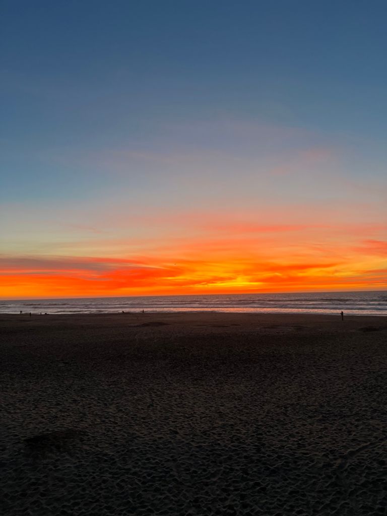 Butterlap (Presidio & Golden Gate Park)的照片 42