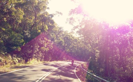 Pedro climbing Garie