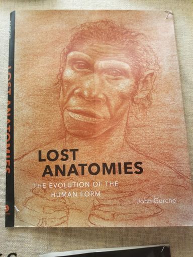 Hey! Speak for yourselves, people! These anatomies are not lost on all of us... #prehumansamongus #prehumansarepeopletoo