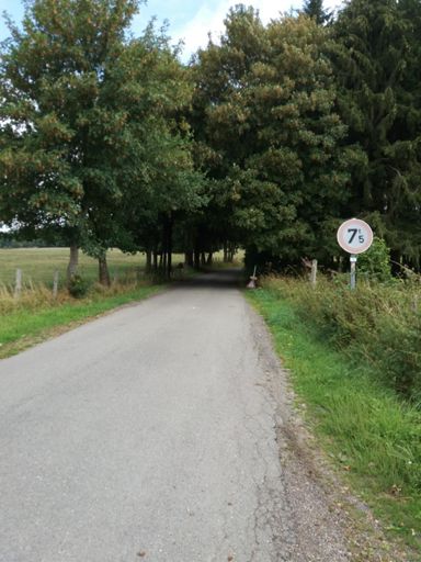 Hier het begin van Mont le Soie. Lijkt op het eerste gezicht goed te doen echter als aan het einde het bochtje om bent zo ver je kunt kijken stijl omhoog, bochtje om en dan nog zo een stuk.