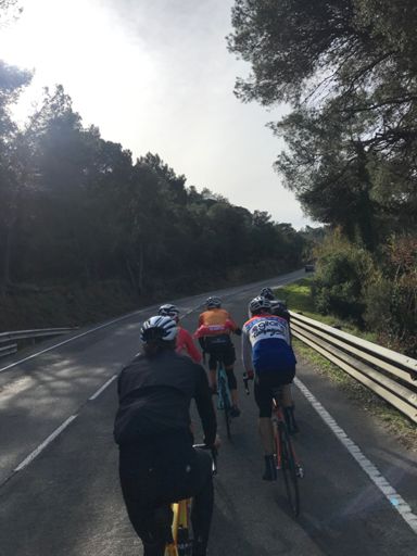 s p e e d y   c r e w   t o d a y