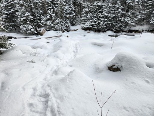 River crossing is mostly bridged.  This was the last time I was willing to take off my mittens to take a picture due to the cold/wind.  No views anyways...