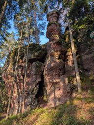 Tour dans forêt de Taintrux avant la séance d’escalade