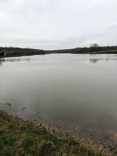 View from the house ... time to get the kayak out for the summer