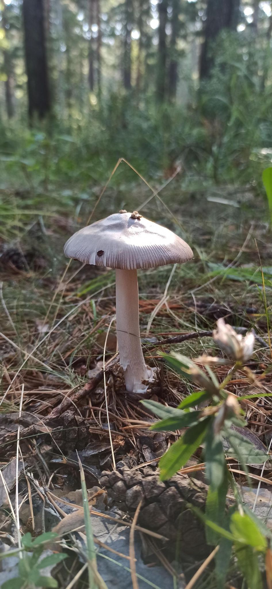 30 day spin bike challenge