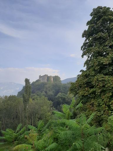 Château d'Arcine
