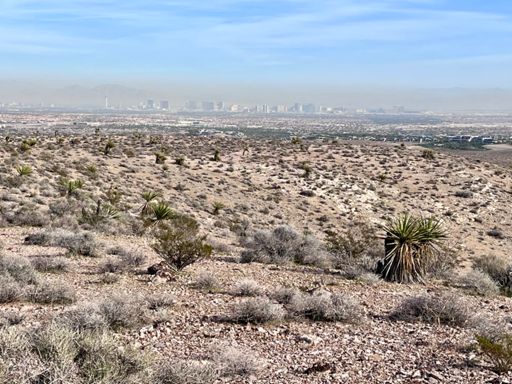 Is this why everyone is sick?