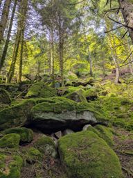 Les deux donons depuis la maison