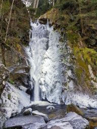 Trotte blanche au Gazon du Faing