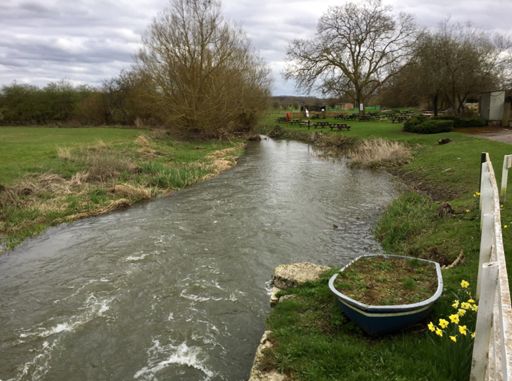 River Thame at Shabbington