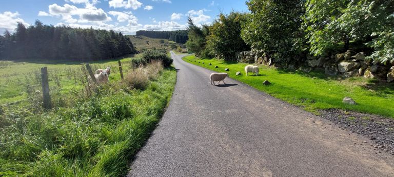 This was a downward hill...