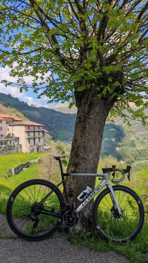 www.strava.com