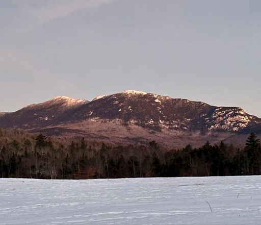 The pre-sunrise light was great this morning. 😍