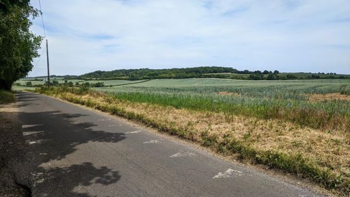 I didn't stop in the Chilterns themselves, so here's a random field somewhere near Stevenage. 🤷‍♂️