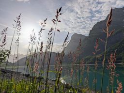 Randonnée le matin