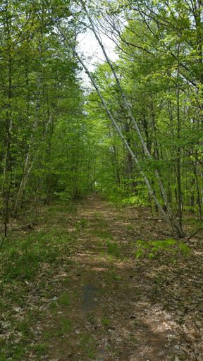 It got A LOT sketchier than this, but my 25's held up.