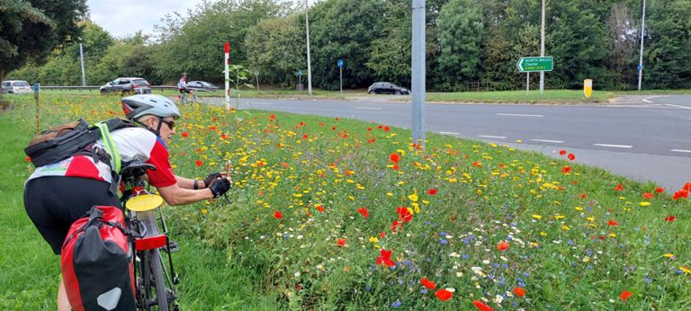 Biodiversity project at Davenham Roundabout, Northwich