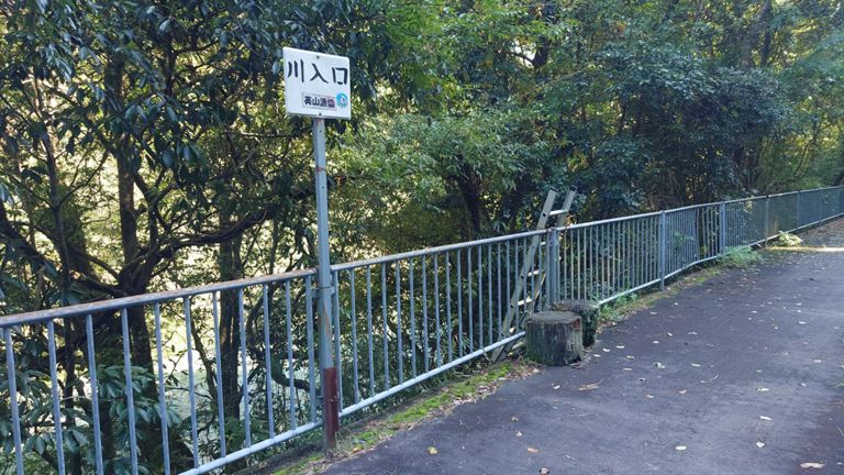 川入口って、このハシゴ?