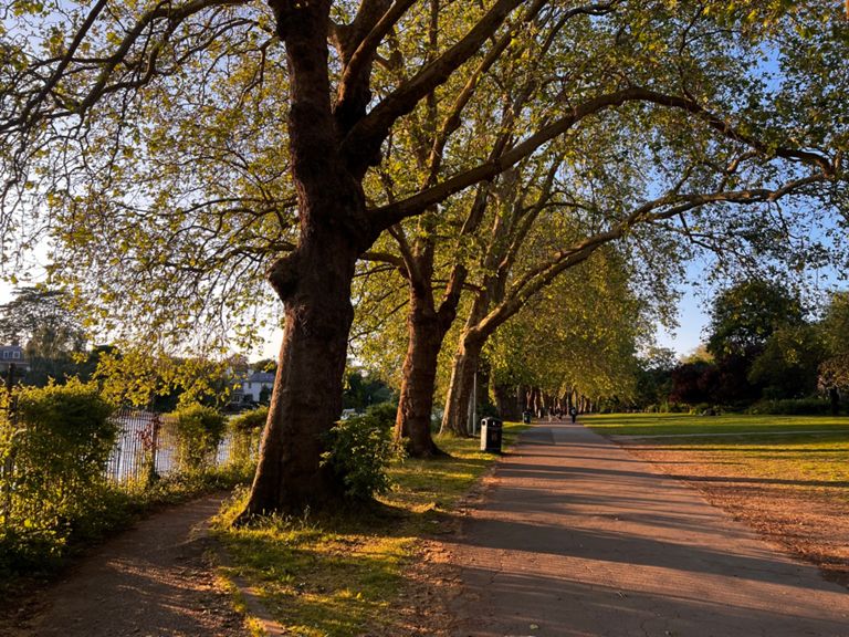 Richmond to Box Hill 104.4 km Cycling Route on Strava