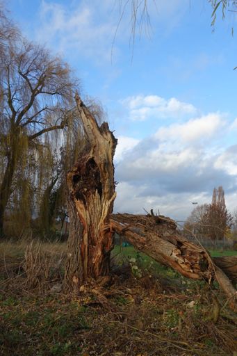 Für 10 Minuten kam sogar mal die Sonne raus.