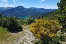 Haut tour du lac de Castillon en VTT