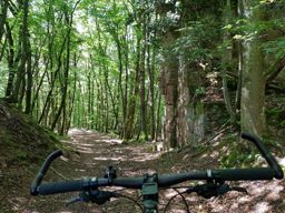 Balade VTT aux ruines de Turquestein