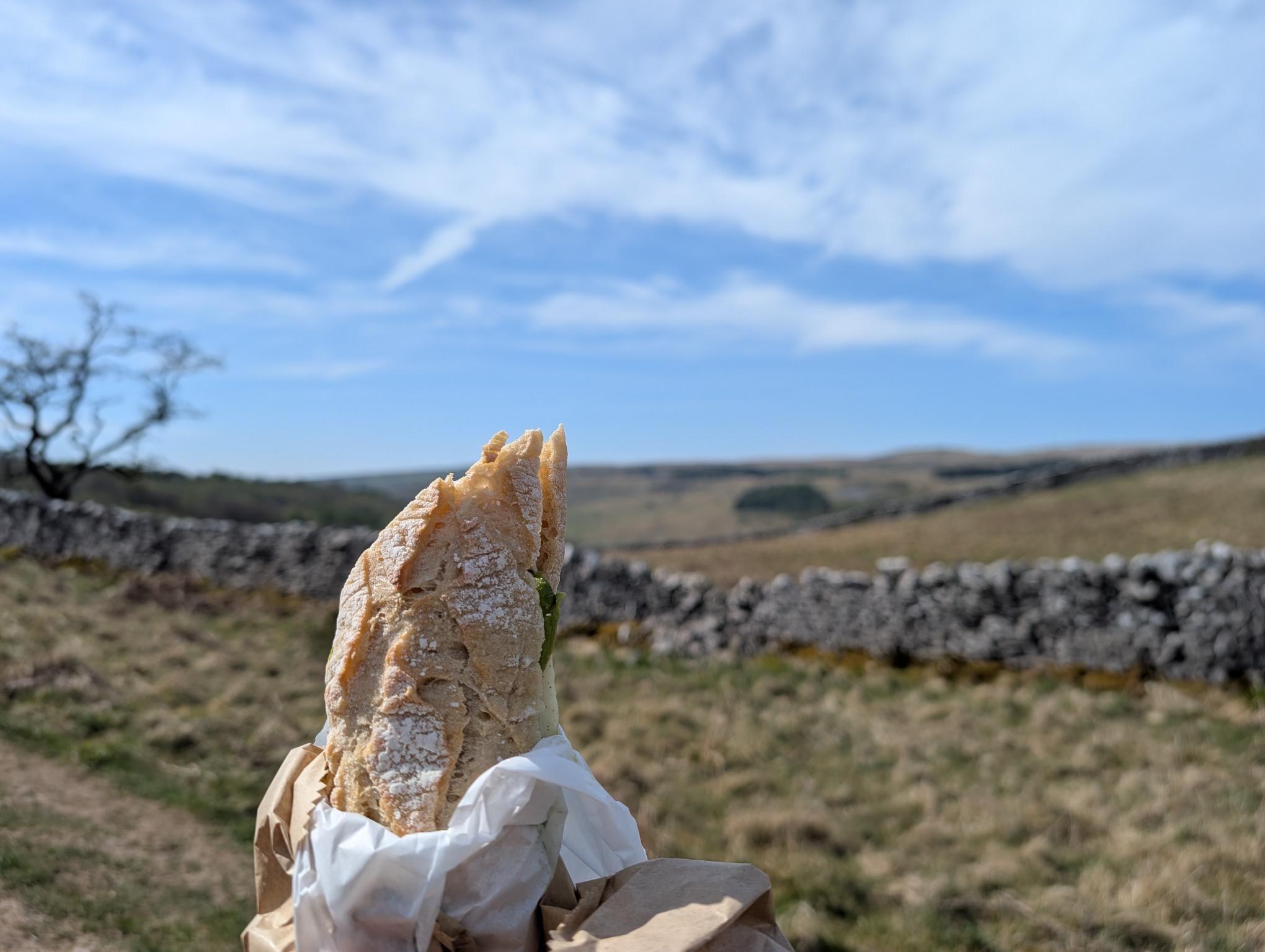 Overnight in Mossdale (part 2) photo 8