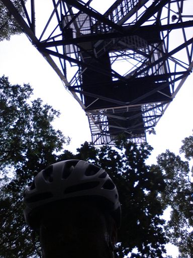 Road shoes, not recommended foot wear.