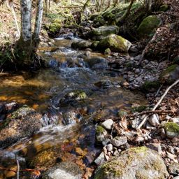 Basse-sur-le-Rupt
Rando avec phases footing