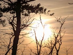 divagation à st Quirin