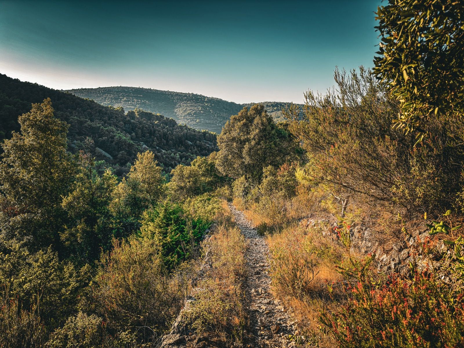 Ride Image 4