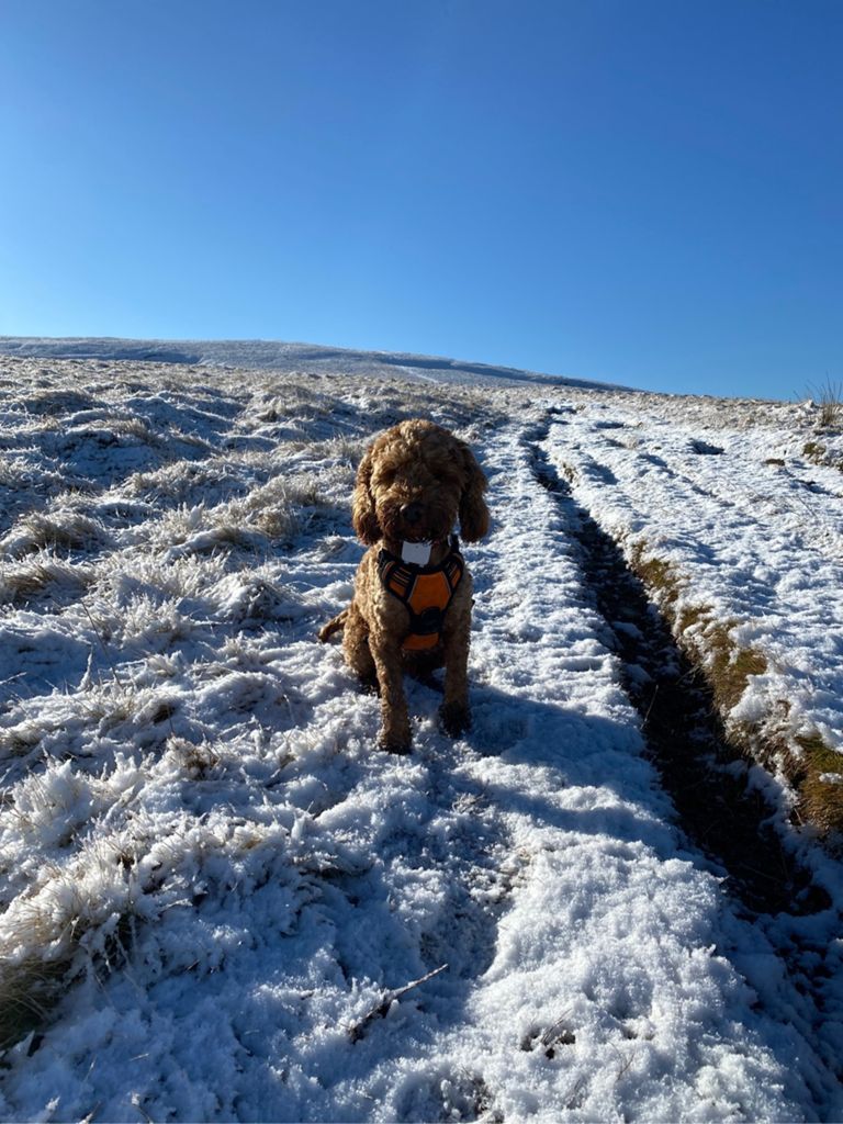 Martindale Hike-7