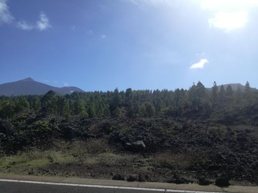 Im - presionante. El Teide y la colada del Chinyero