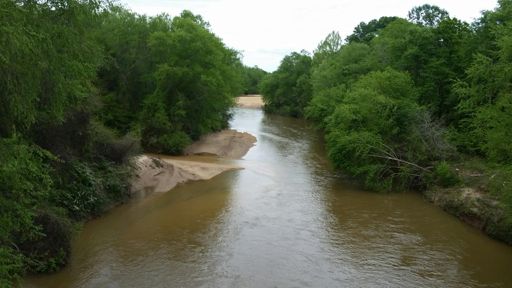 A creek.